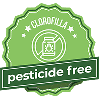 pesticide-free